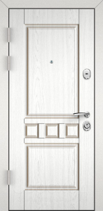Белая дверь с терморазрывом в каркасный дом №19 - фото №2